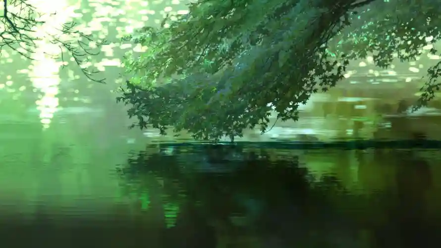 4k倒影壁纸 - 晨雾 - 森林 - 湖面「哲风壁纸」