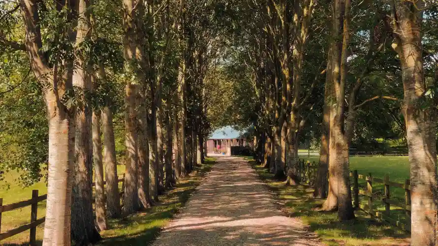 4k自然壁纸 - 风景 - 木栅栏 - 乡村风景「哲风壁纸」 4k自然壁纸 - 风景 - 木栅栏 - 乡村风景「哲风壁纸」
