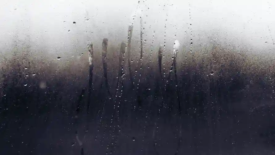 2k窗景壁纸-窗玻璃与雨-窗玻璃背景免费下载「哲风壁纸」