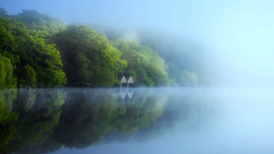 4k倒影壁纸 - 湖景 - 绿树 - 自然「哲风壁纸」