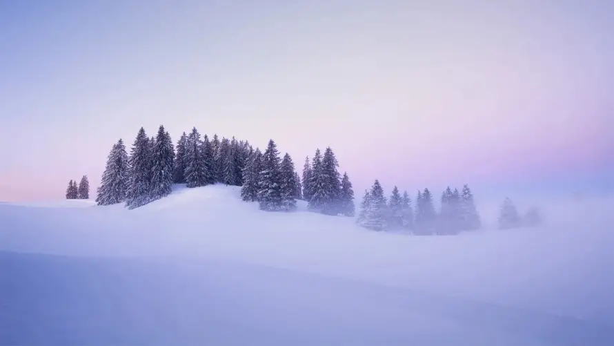 4k自然壁纸 - 雪景 - 冬季风光 - 松林雾凇「哲风壁纸」