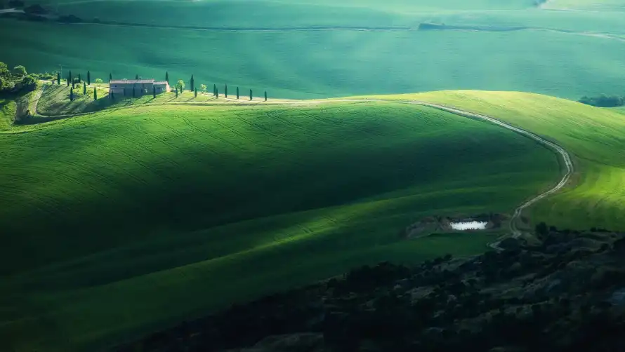 Favorite Image