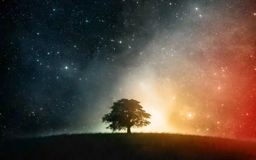 4k山丘壁纸 - 星光 - 星空 - 树影「哲风壁纸」