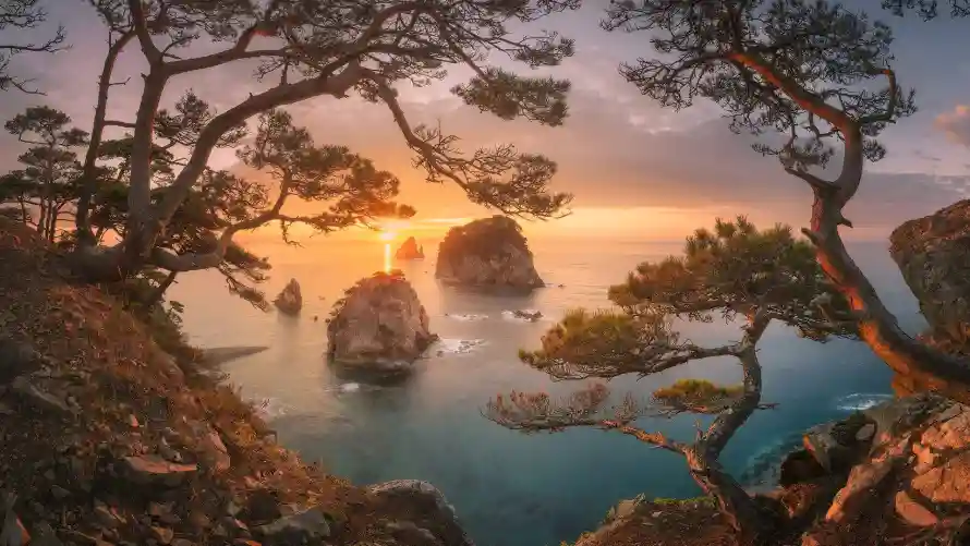 4k自然壁纸 - 风景 - 夕阳海景 - 岩石松树「哲风壁纸」