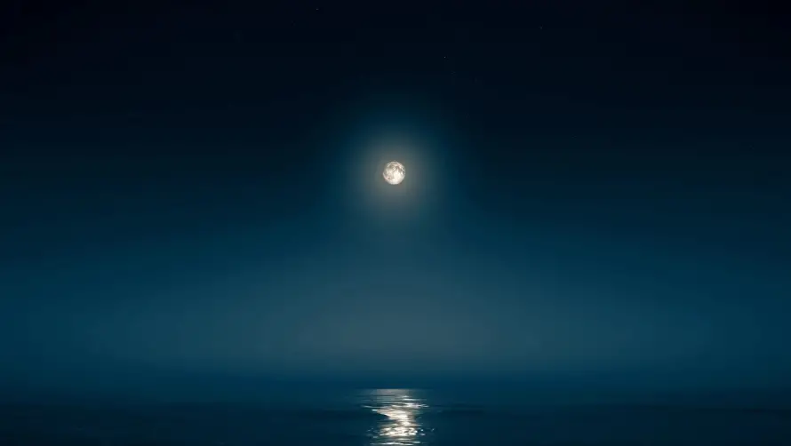4k夜晚壁纸 - 月夜 - 月色 - 海景「哲风壁纸」