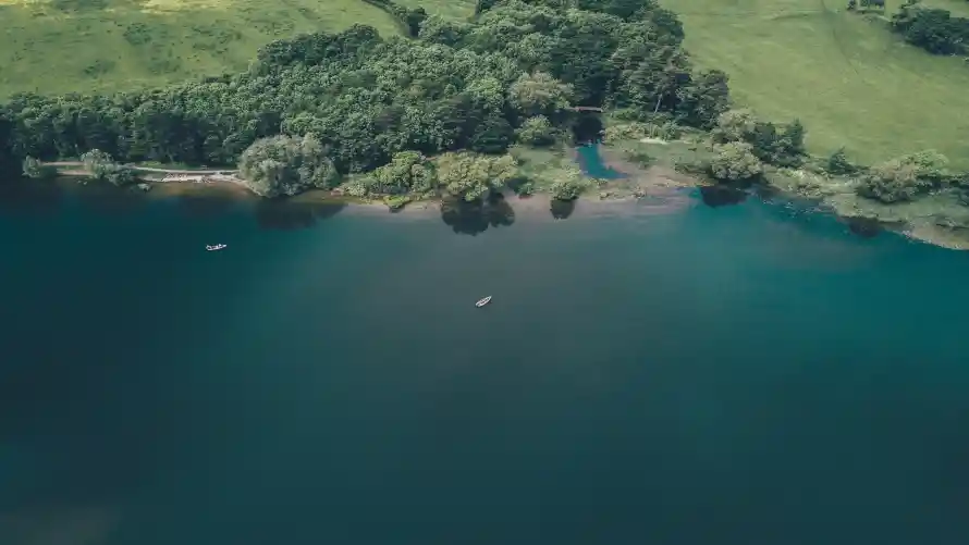 4k自然壁纸 - 风景 - 森林植被 - 森林湖泊「哲风壁纸」