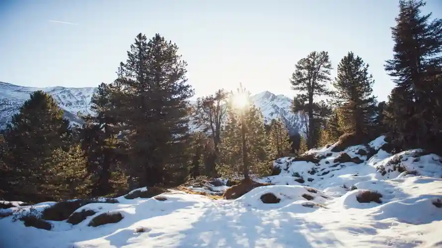 4k冬季壁纸 - 雪景 - 冬季景观 - 冬季雪景「哲风壁纸」
