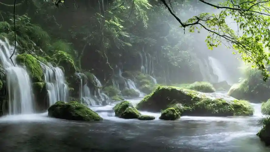 2k自然壁纸-岩石溪流 - 风景-森林瀑布壁纸推荐「哲风壁纸」