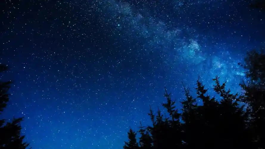4k星夜壁纸 - 风景 - 星空夜景 - 暗夜森林「哲风壁纸」