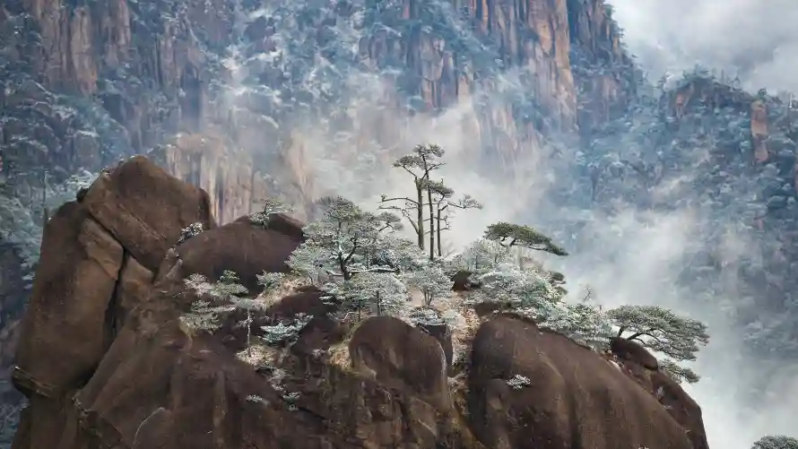 4k自然壁纸 - 风景 - 黄山 - 迎客松「哲风壁纸」 4k自然壁纸 - 风景 - 黄山 - 迎客松「哲风壁纸」