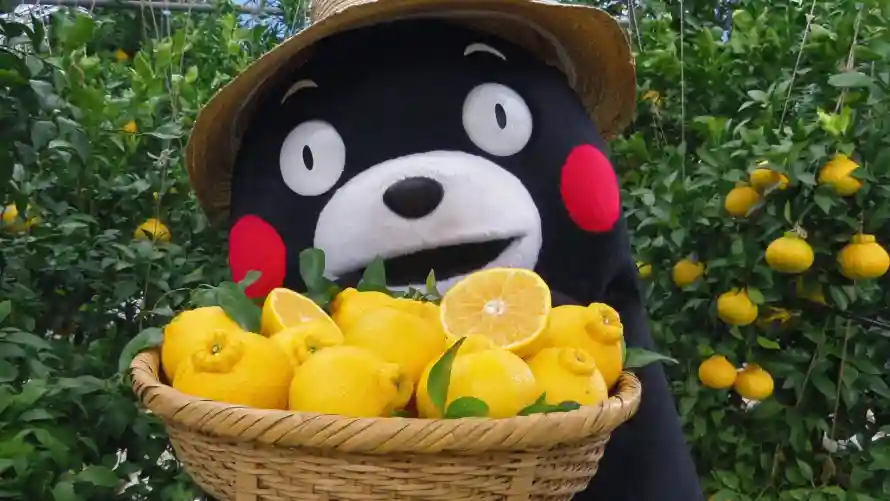 4k可爱壁纸 - 柠檬 - 萌趣 - 治愈系「哲风壁纸」