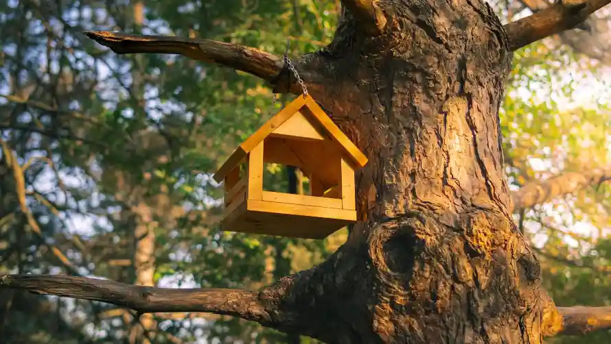 4k可爱壁纸 - 风景 - 可爱小屋 - 树屋鸟窝「哲风壁纸」