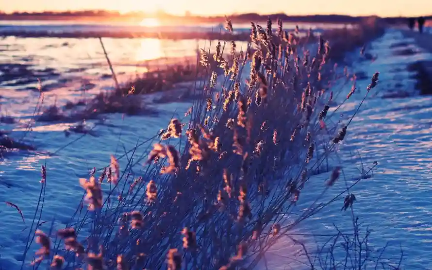 4k自然壁纸 - 风景 - 冬季雪地 - 冬日夕阳「哲风壁纸」