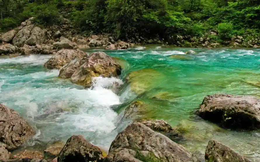 4k溪水壁纸 - 溪流 - 山间溪流 - 岩石溪流「哲风壁纸」 4k溪水壁纸 - 溪流 - 山间溪流 - 岩石溪流「哲风壁纸」