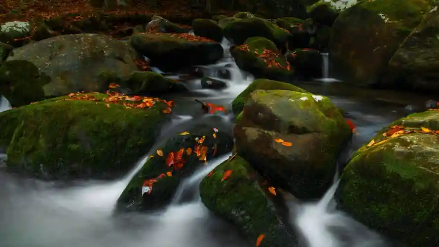 4k自然壁纸 - 风景 - 流水风景 - 溪流岩石「哲风壁纸」 4k自然壁纸 - 风景 - 流水风景 - 溪流岩石「哲风壁纸」