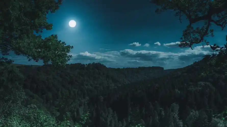 4k回忆壁纸 - 夏夜 - 夜景 - 明月「哲风壁纸」