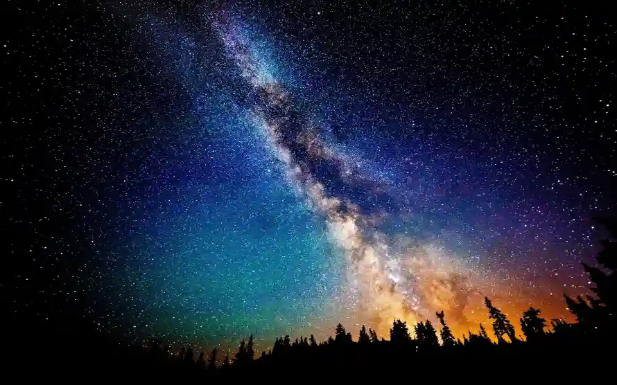 4k剪影壁纸 - 夜景 - 星空 - 森林「哲风壁纸」 4k剪影壁纸 - 夜景 - 星空 - 森林「哲风壁纸」