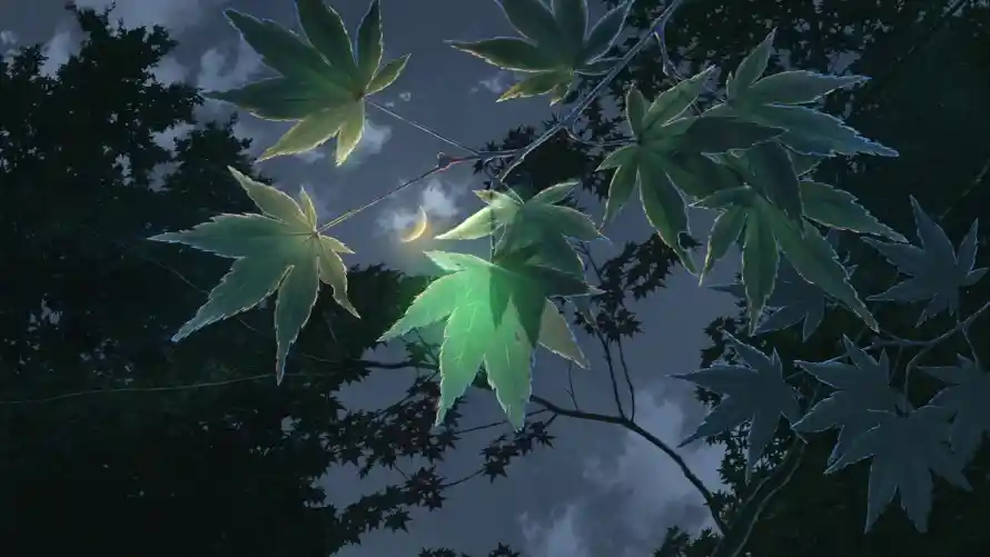 4k夜景壁纸 - 枫叶 - 森系 - 艺术「哲风壁纸」