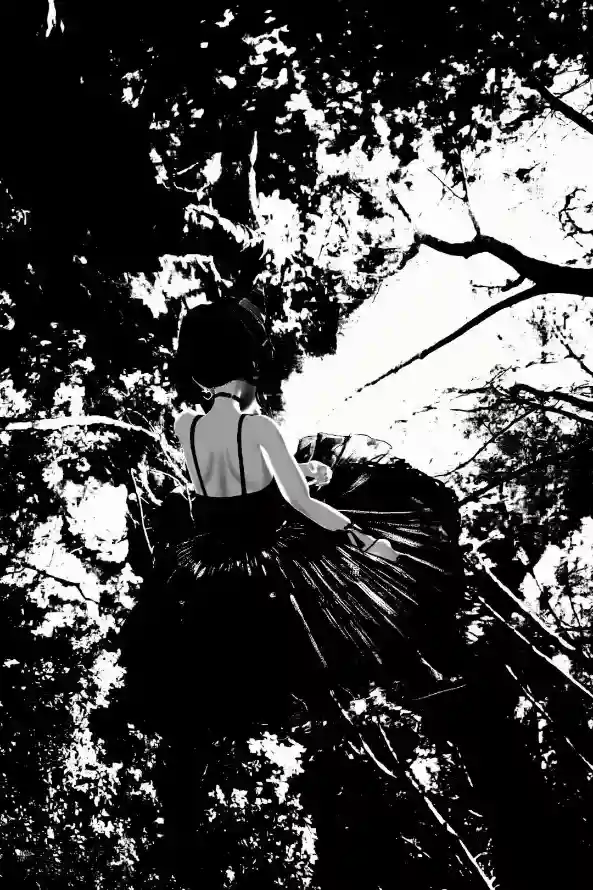 4k光影壁纸 - 剪影 - 少女 - 意境「哲风壁纸」
