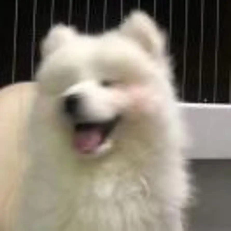 一块五的头像
