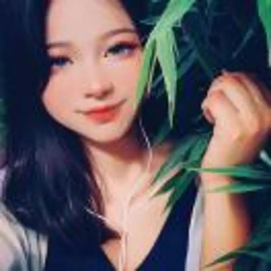 @晓@🎹的头像