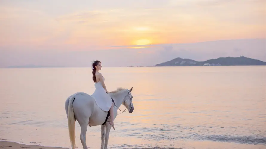 4k日落壁纸 - 海边 - 白马 - 美女「哲风壁纸」