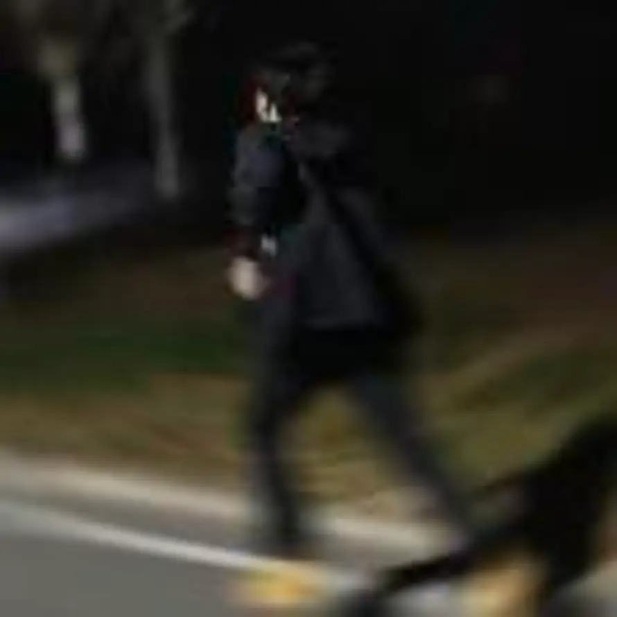 陈望的头像