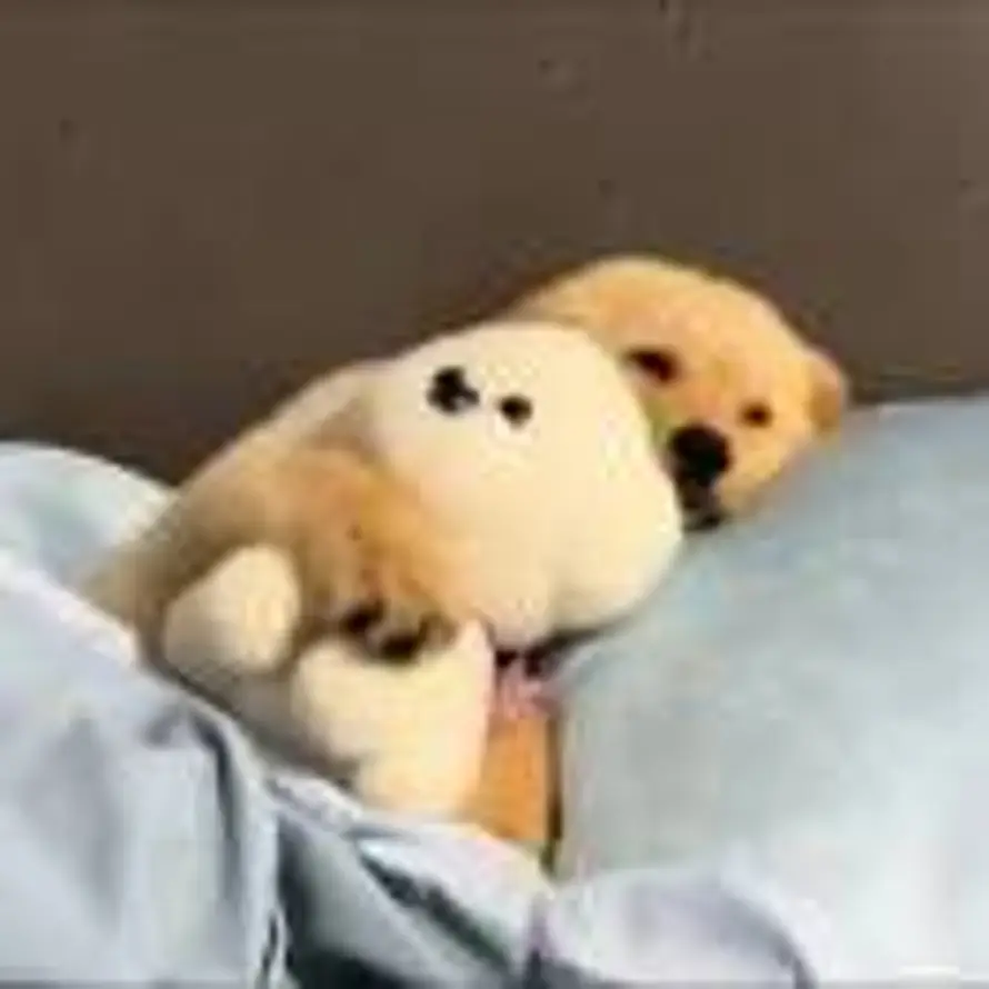 Klyndroe的头像
