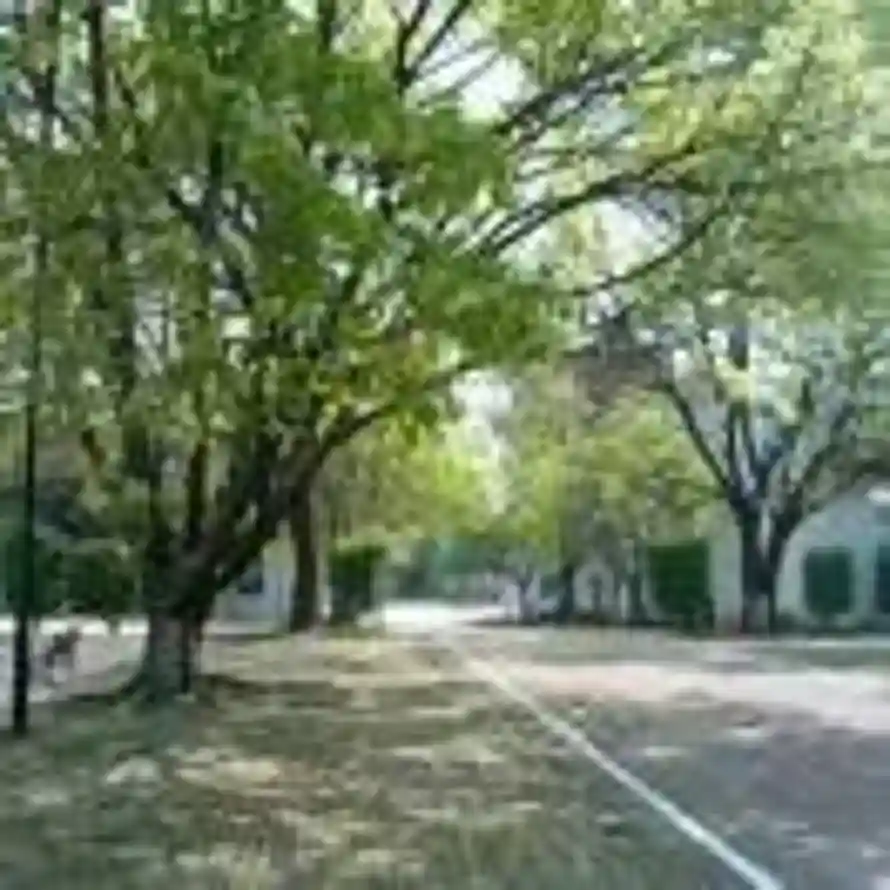 四季平安的用户头像 - 哲风壁纸