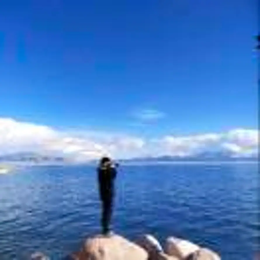 Cc的头像