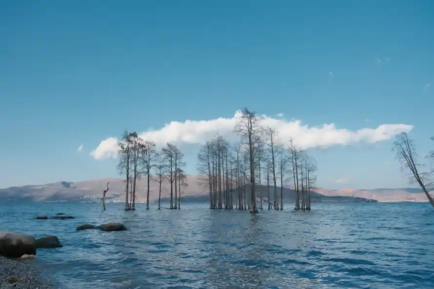 4k山脉壁纸 - 枯树 - 洱海 - 自然「哲风壁纸」