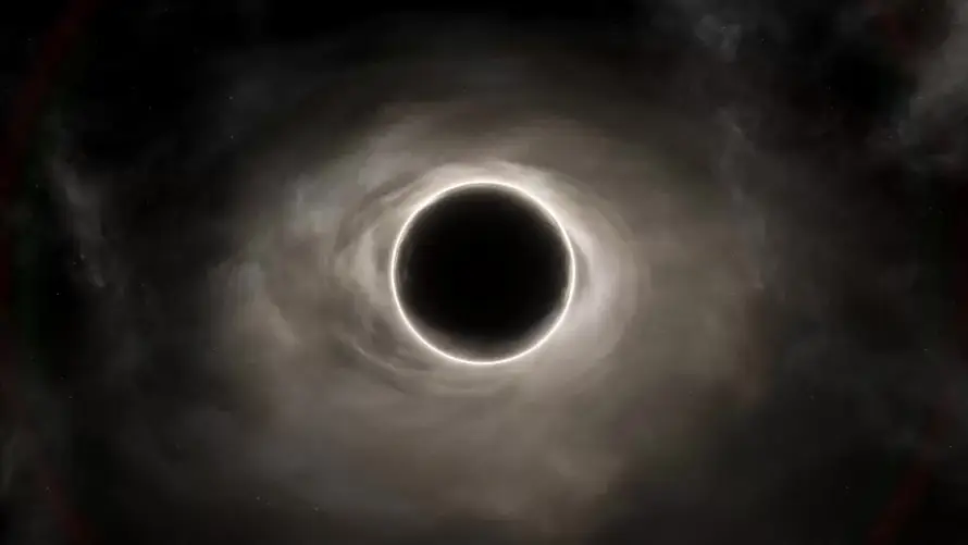 Favorite Image