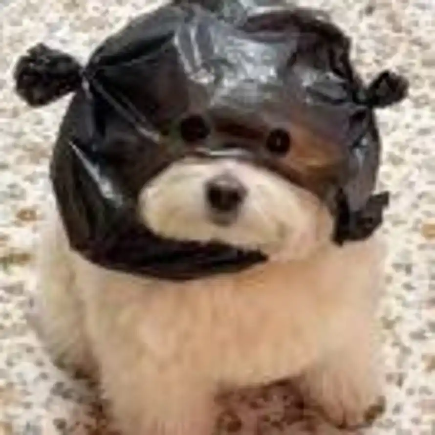 鸿垚的头像