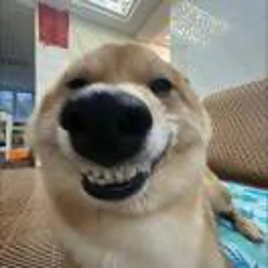 天与云的头像