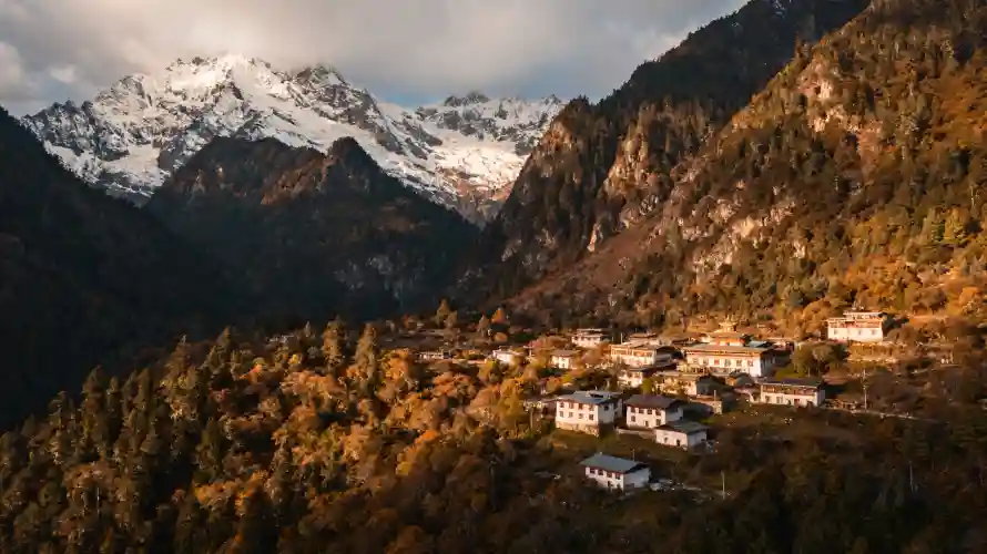 4k山谷壁纸 - 森林 - 雪山 - 雨崩村「哲风壁纸」