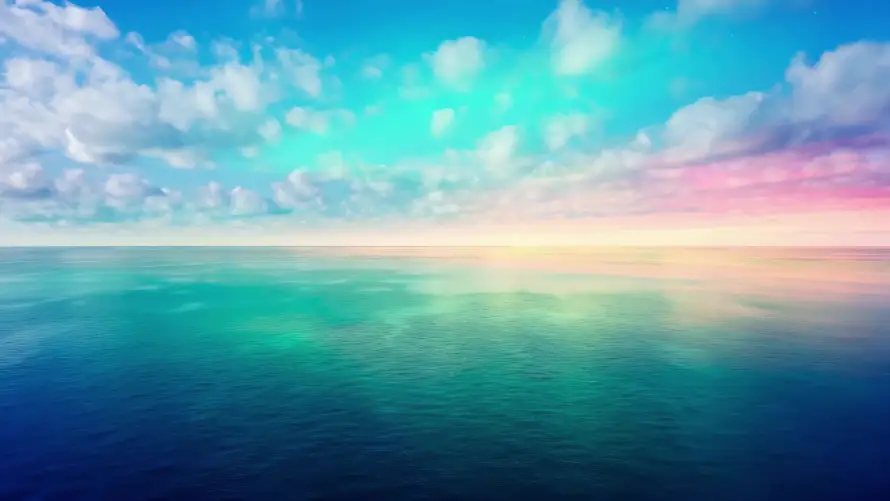 Favorite Image