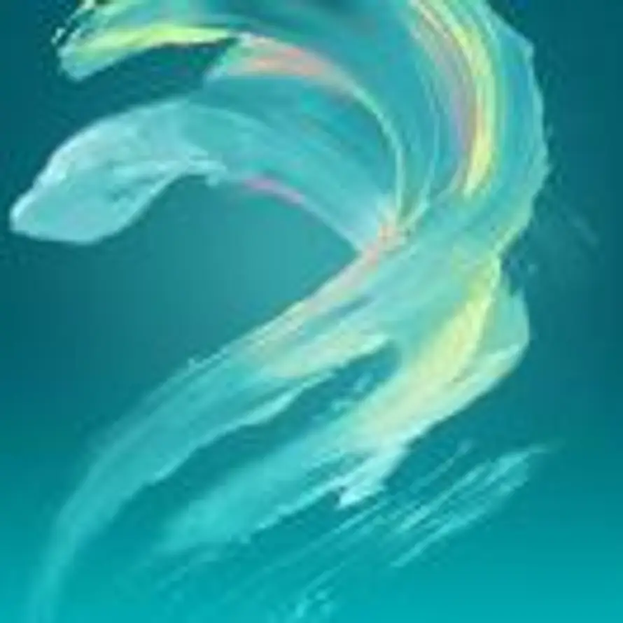 Z的头像