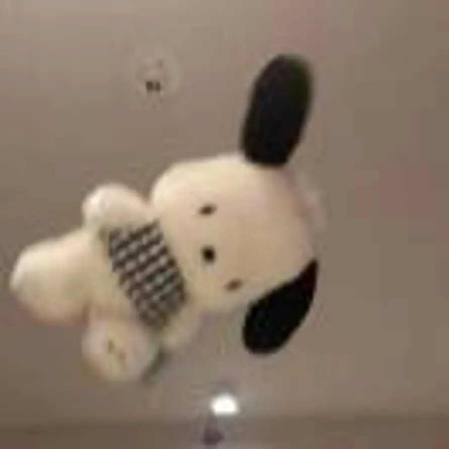 书珩的头像