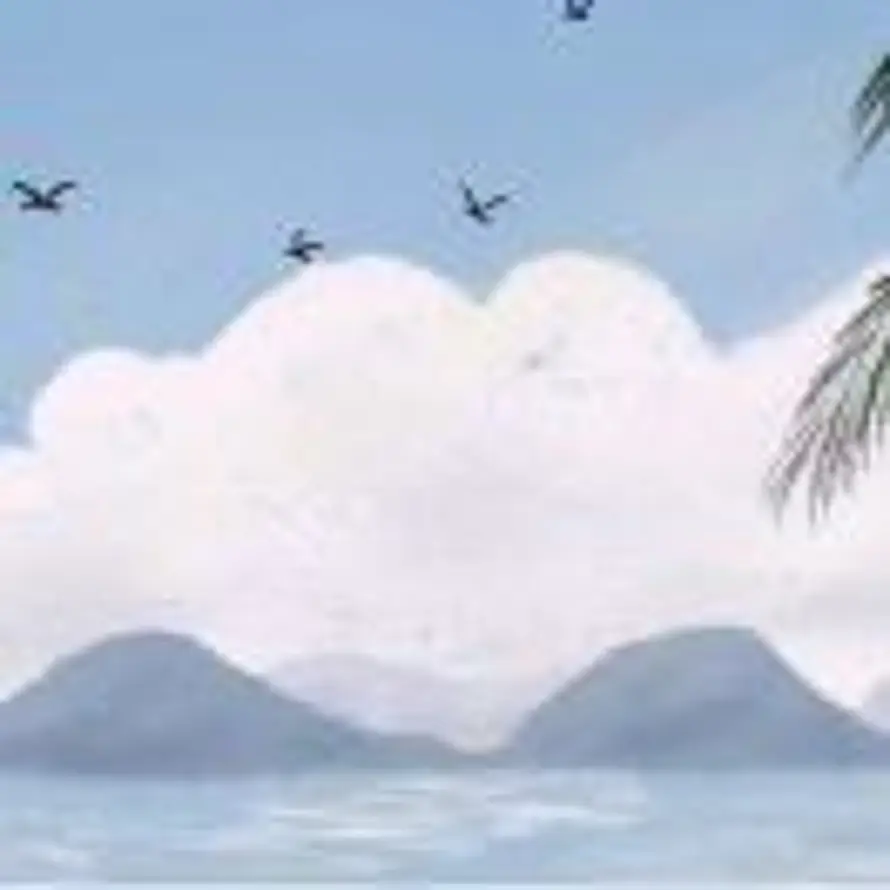 我吃一只鱼～的头像