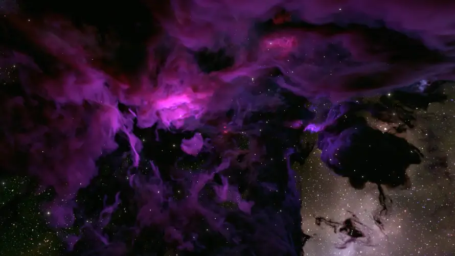 Favorite Image