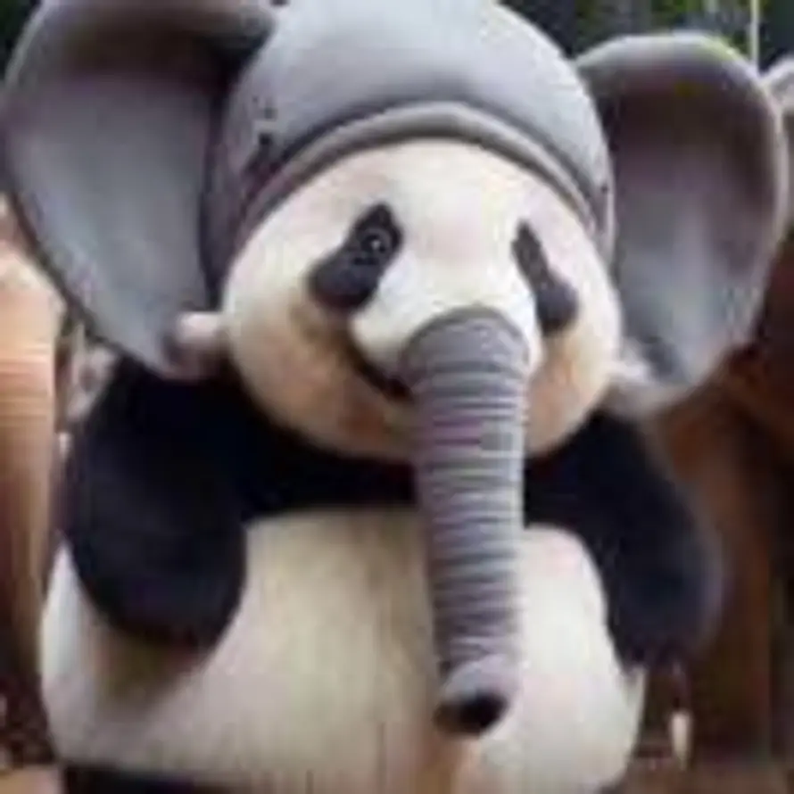 ぐ月亮說話ヽ的头像