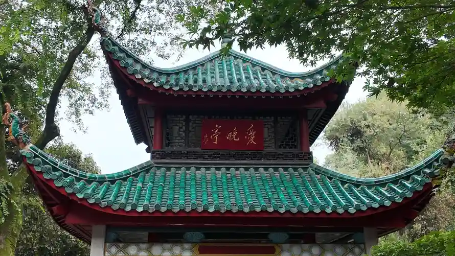 4k古树壁纸-岳麓山壁纸和爱晚亭-中式古亭免费下载「哲风壁纸」