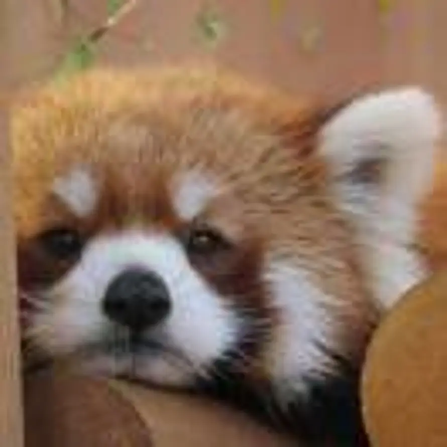 行而知之的头像