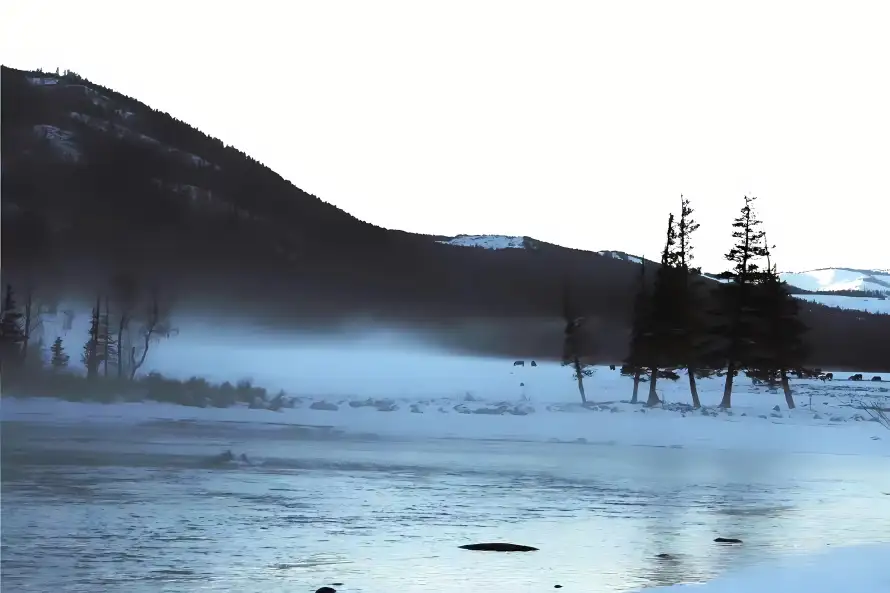 4k山川壁纸 - 树木 - 河流 - 雪地「哲风壁纸」 4k山川壁纸 - 树木 - 河流 - 雪地「哲风壁纸」