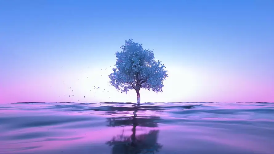Favorite Image