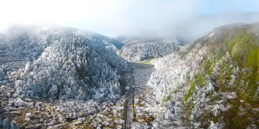 4k风景壁纸 - 雪景 - 热门壁纸 - wallpaper「哲风壁纸」