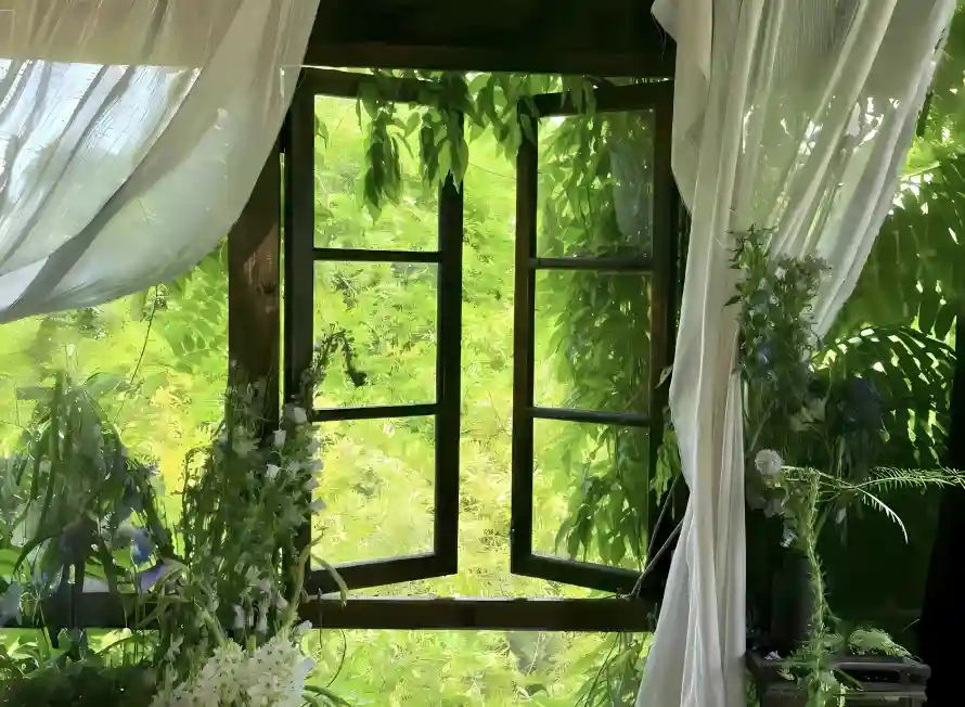 2k植物壁纸-自然壁纸和窗户-壁纸推荐「哲风壁纸」