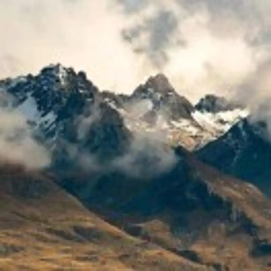 但愿人长久的头像