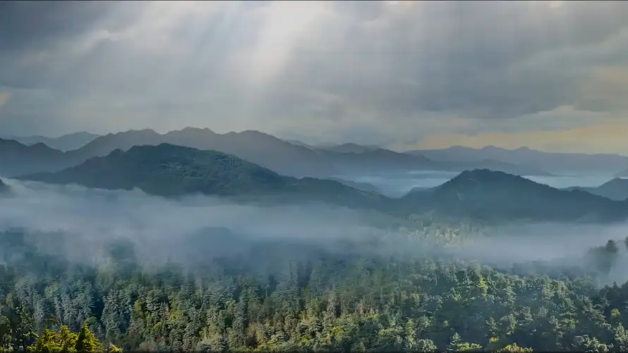 4k云雾壁纸 - 山脉 - 晨雾 - 森林「哲风壁纸」 4k云雾壁纸 - 山脉 - 晨雾 - 森林「哲风壁纸」