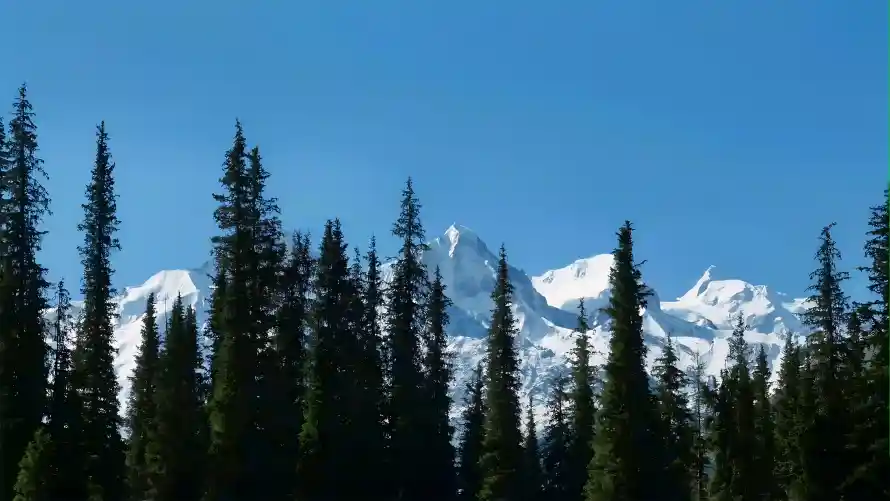 4k森林壁纸 - 蓝天 - 雪山 - 风景「哲风壁纸」 4k森林壁纸 - 蓝天 - 雪山 - 风景「哲风壁纸」